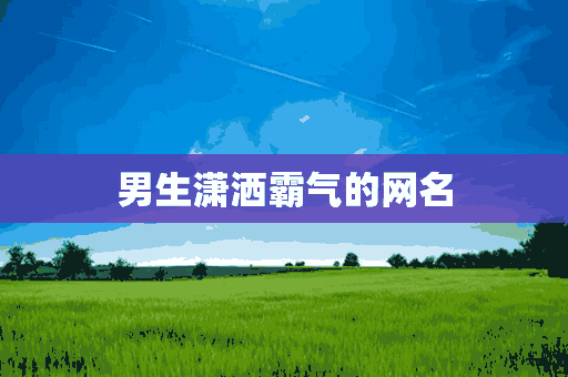 男生潇洒霸气的网名(男生潇洒霸气的网名两个字)